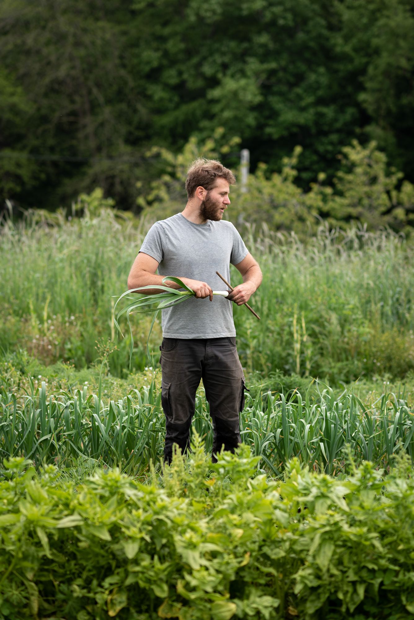 Emmanuel au potager