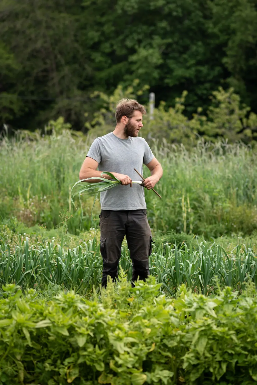 Emmanuel au potager
